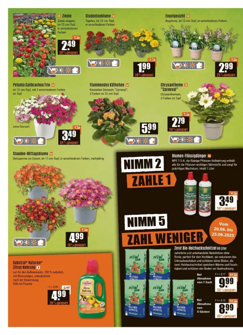 V-Baumarkt Prospekt vom 20.06.2025, Seite 2