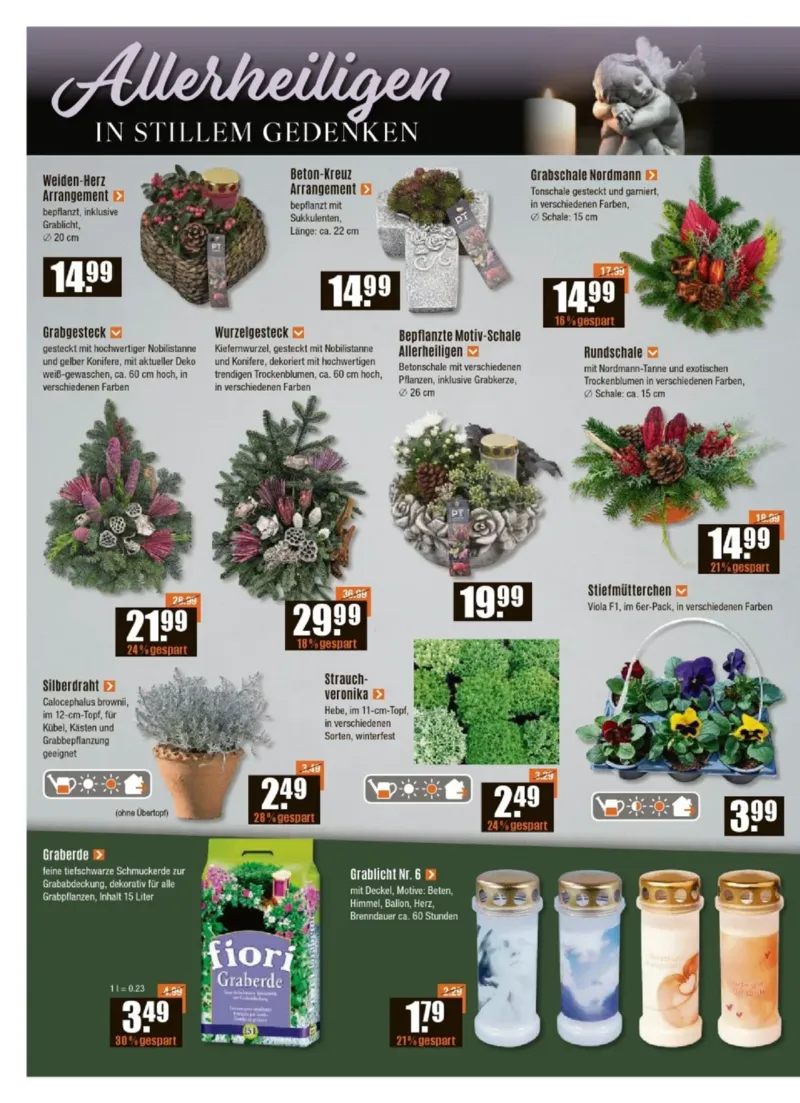 V-Baumarkt Prospekt vom 16.10.2025, Seite 2