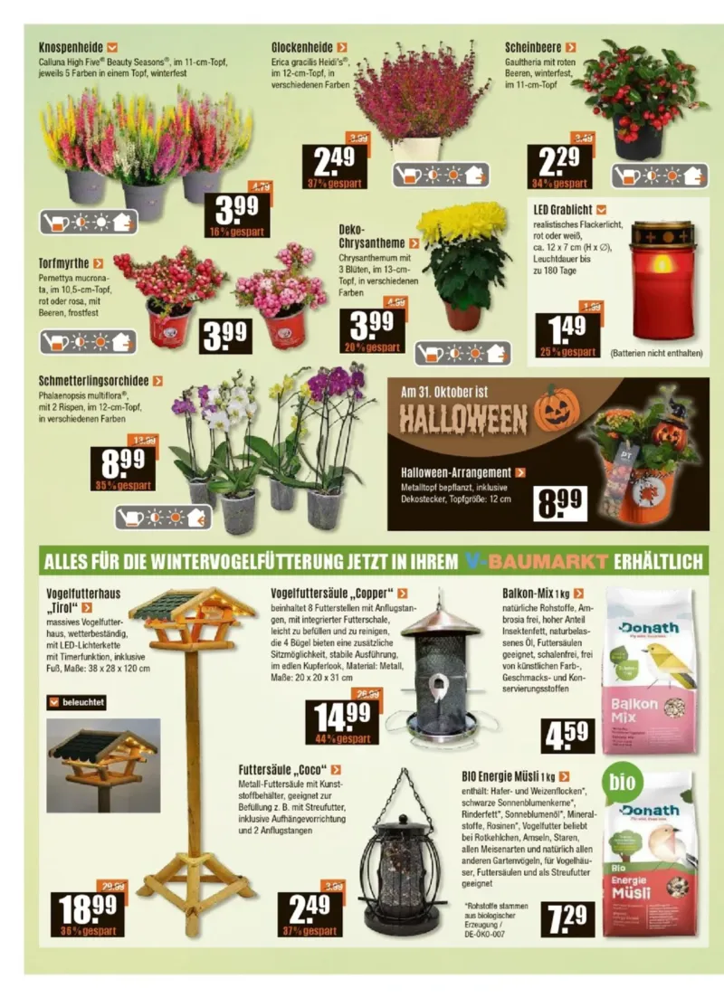 V-Baumarkt Prospekt vom 23.10.2025, Seite 2