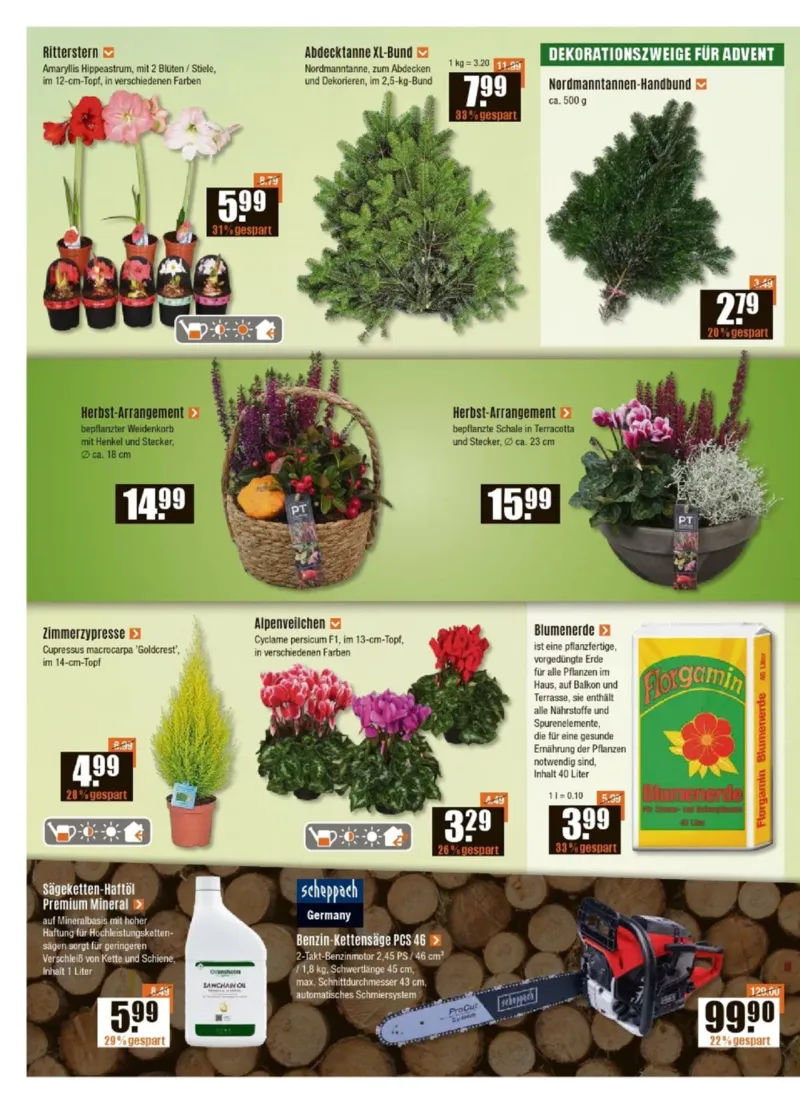 V-Baumarkt Prospekt vom 30.10.2025, Seite 2