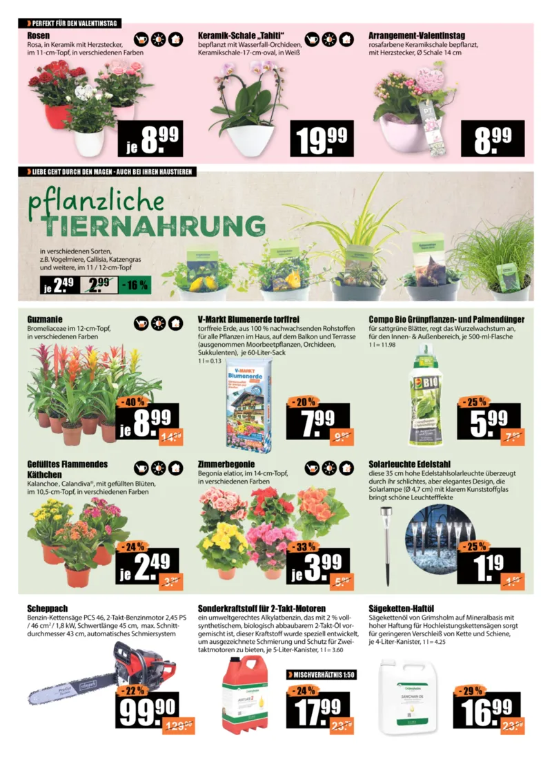 V-Baumarkt Prospekt vom 05.02.2026, Seite 2