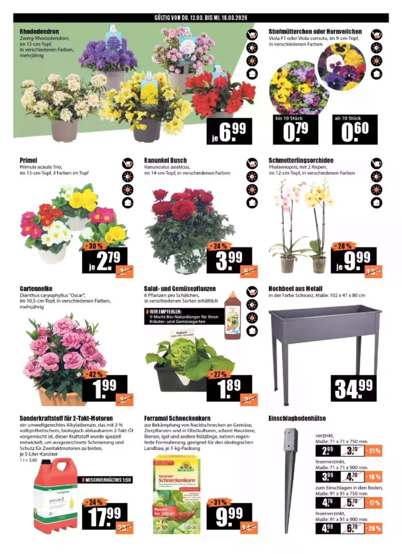 V-Baumarkt Prospekt vom 12.03.2026, Seite 2