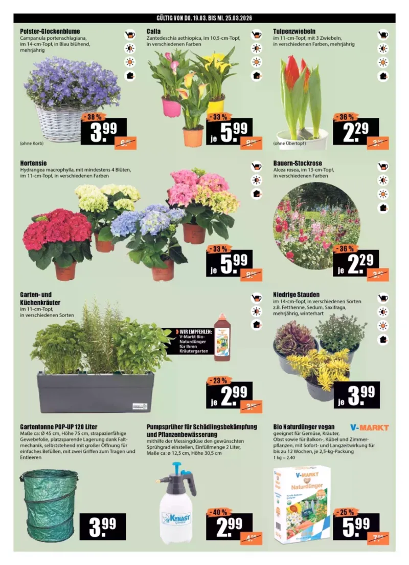 V-Baumarkt Prospekt vom 19.03.2026, Seite 2