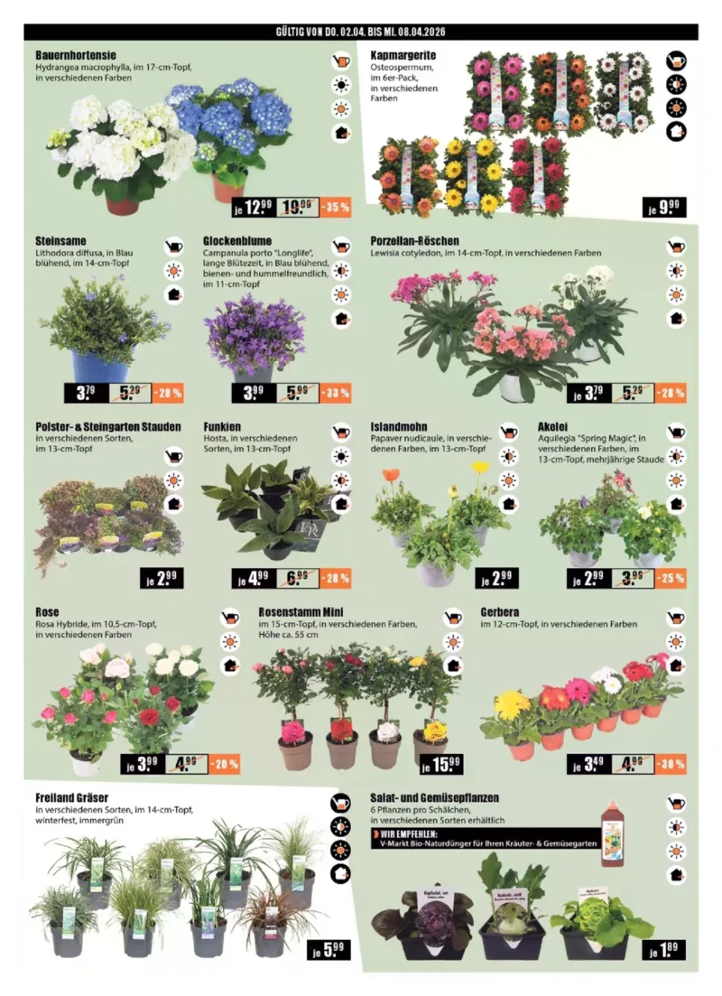 V-Baumarkt Prospekt vom 02.04.2026, Seite 2