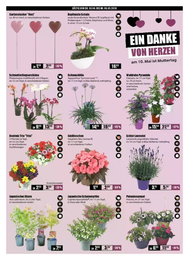 V-Baumarkt Prospekt vom 30.04.2026, Seite 2
