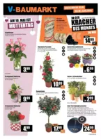 V-Baumarkt Prospekt nächster Woche