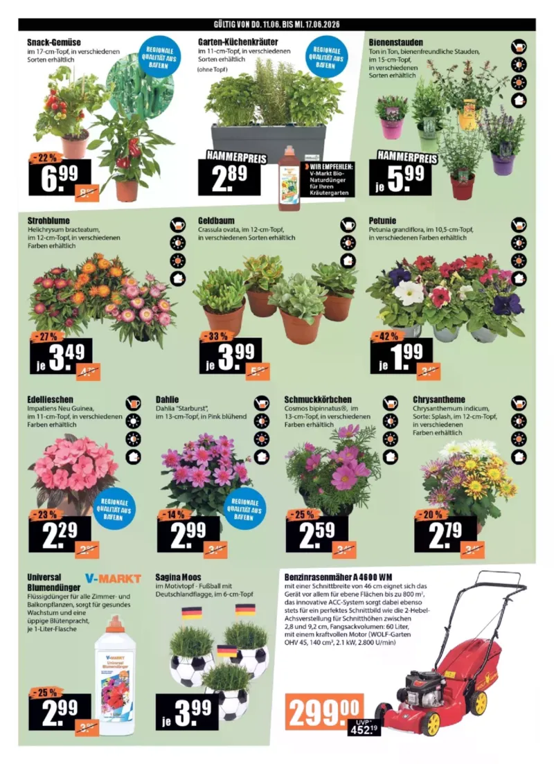 V-Baumarkt Prospekt vom 11.06.2026, Seite 2