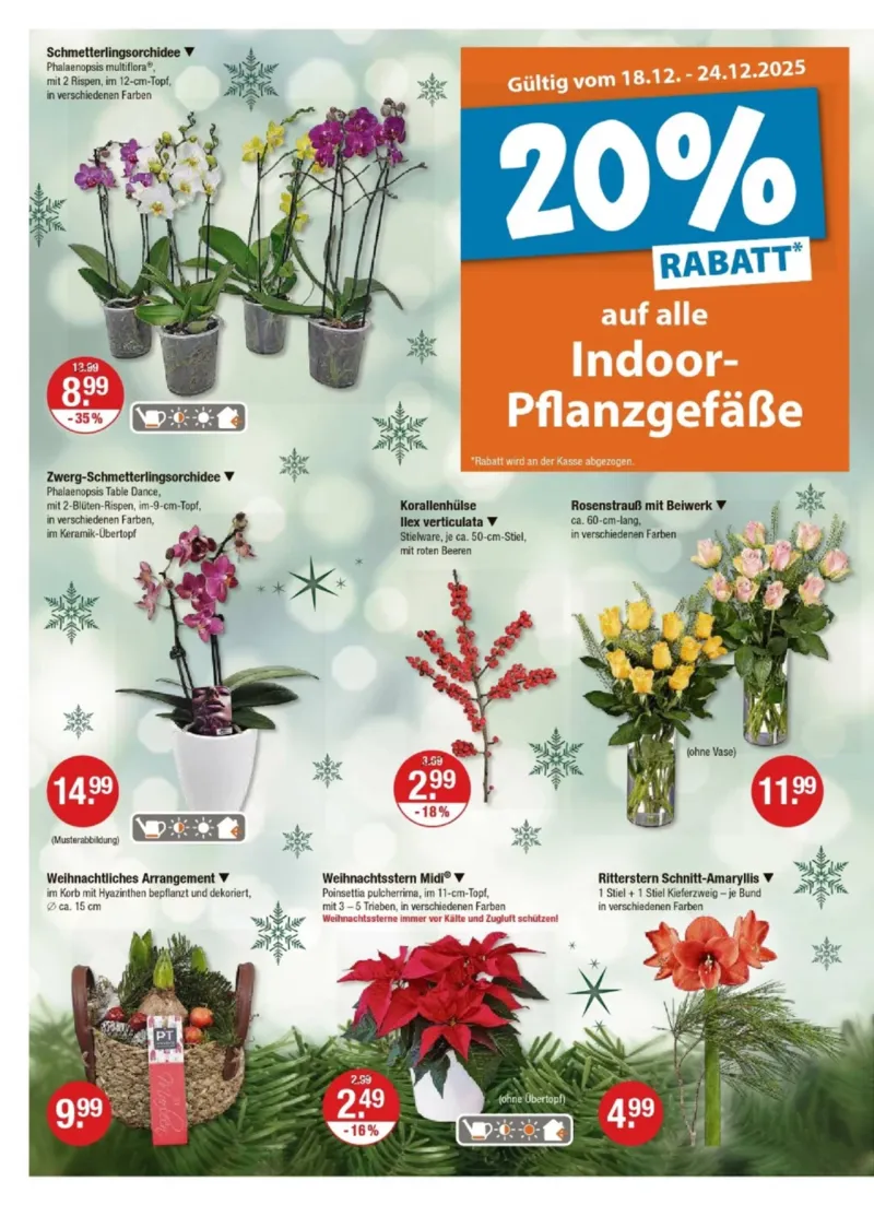 V-Markt Prospekt vom 18.12.2025, Seite 20