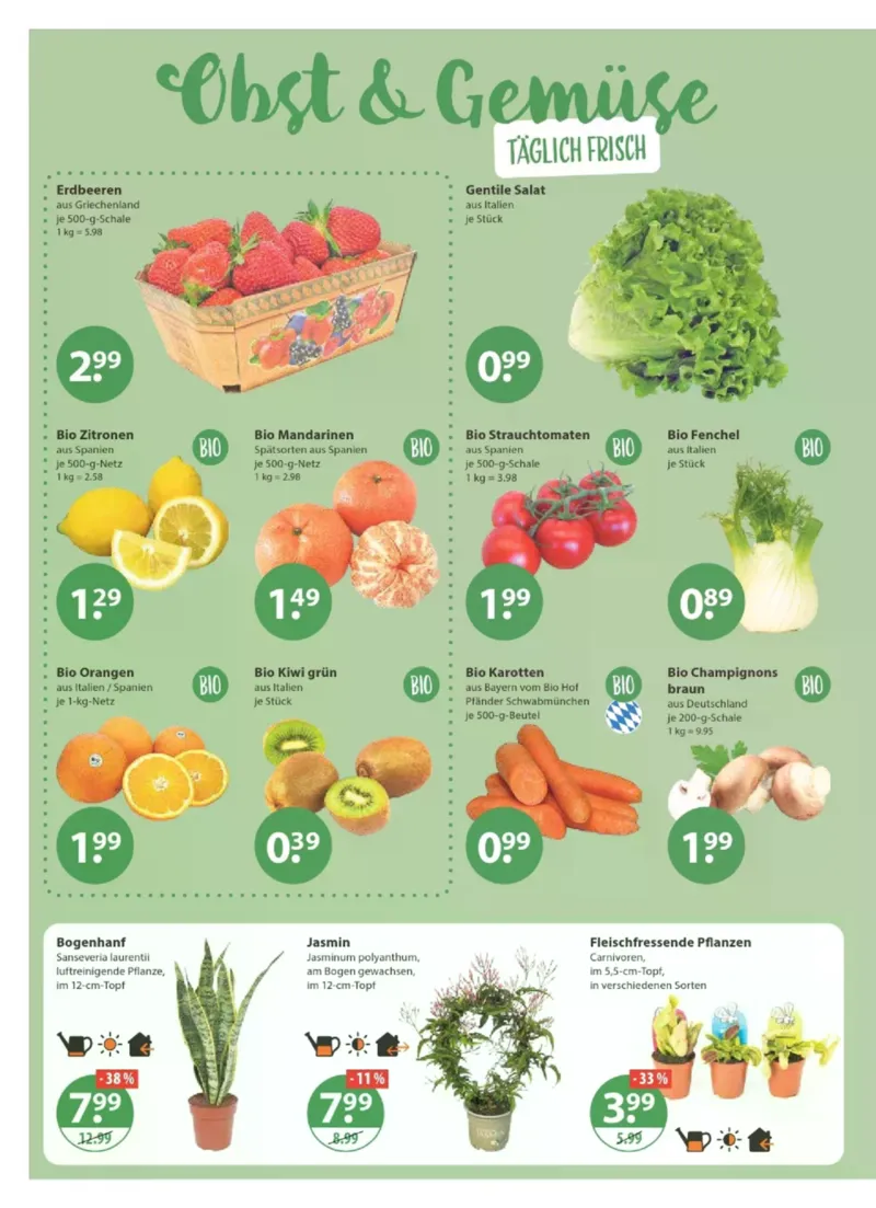 V-Markt Prospekt vom 29.01.2026, Seite 4