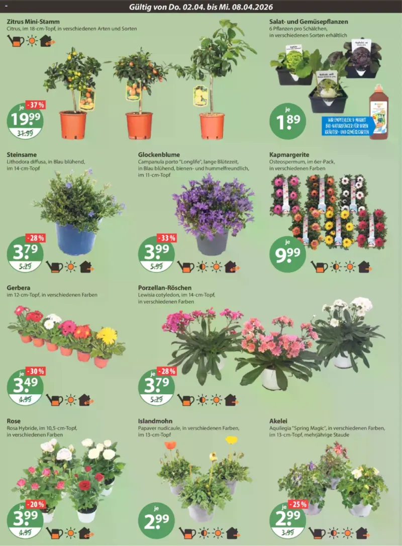 V-Markt Prospekt vom 02.04.2026, Seite 20