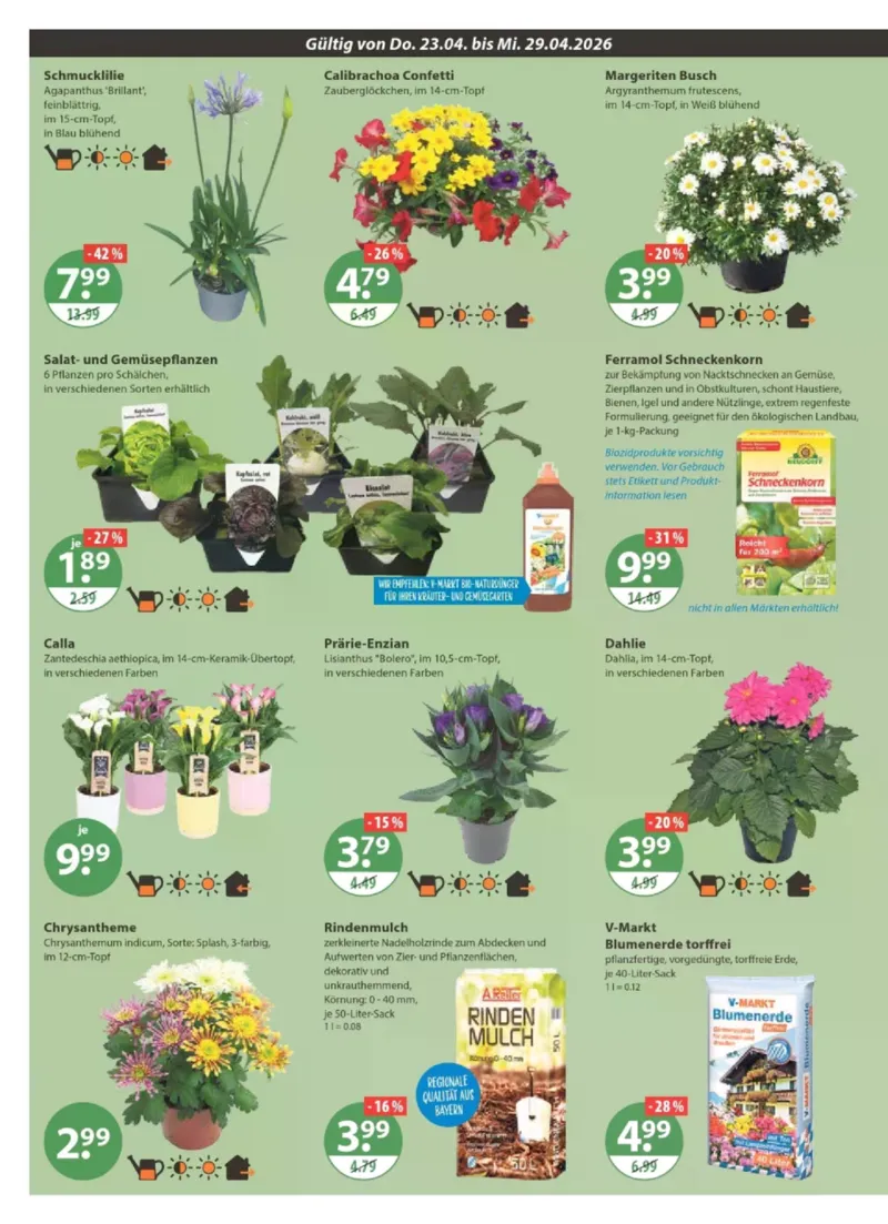 V-Markt Prospekt vom 23.04.2026, Seite 22