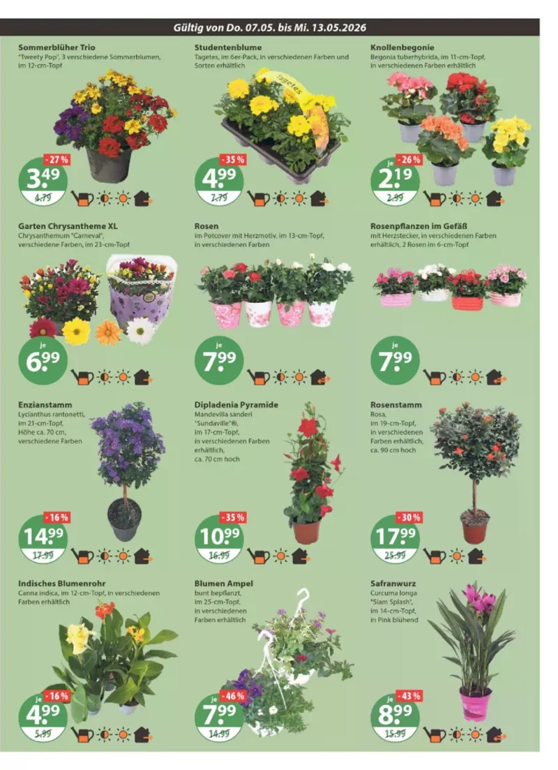 V-Markt Prospekt vom 07.05.2026, Seite 15