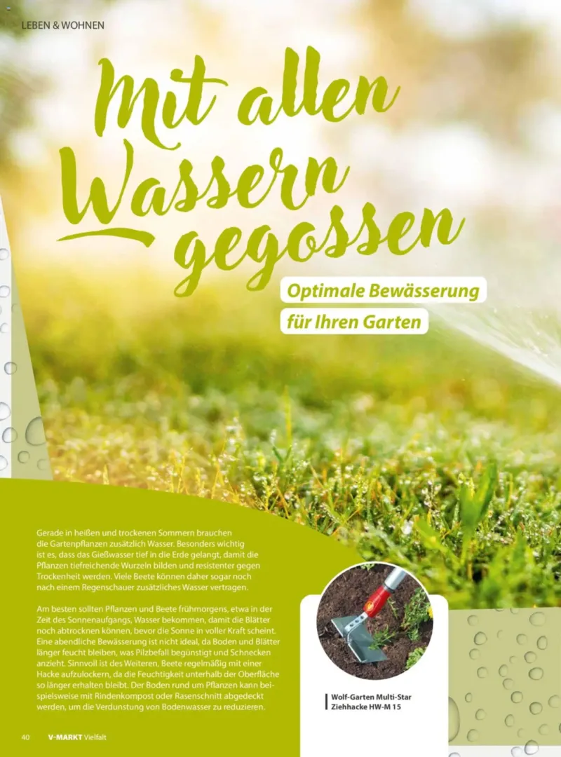 V-Markt Prospekt vom 01.07.2026, Seite 40