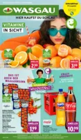 Wasgau Prospekt vom 26.01.2026