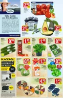 WEZ Prospekt vom 23.03.2026