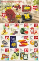 WEZ Prospekt vom 10.08.2026