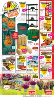 Wiglo Wunderland Prospekt vom 29.09.2025