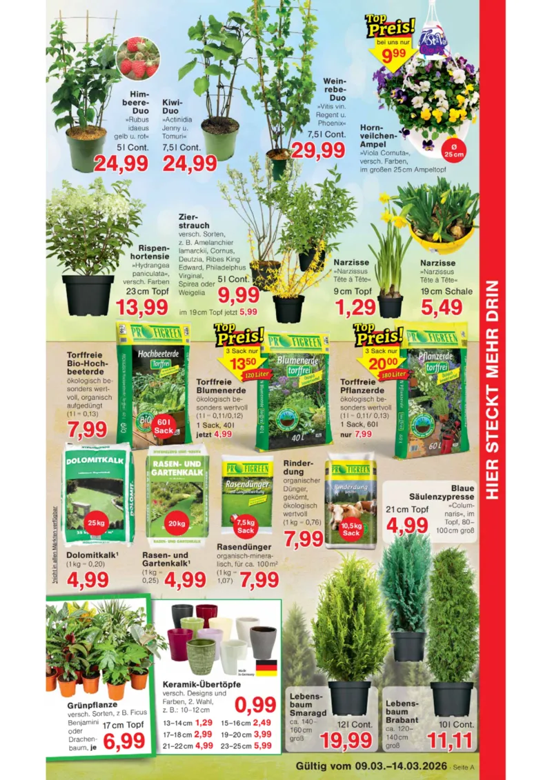 Wiglo Wunderland Prospekt vom 09.03.2026, Seite 5