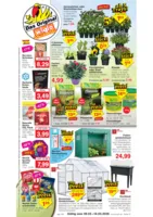 Wiglo Wunderland Prospekt vom 09.03.2026