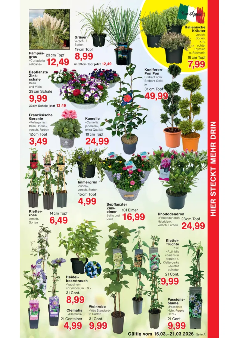 Wiglo Wunderland Prospekt vom 16.03.2026, Seite 7