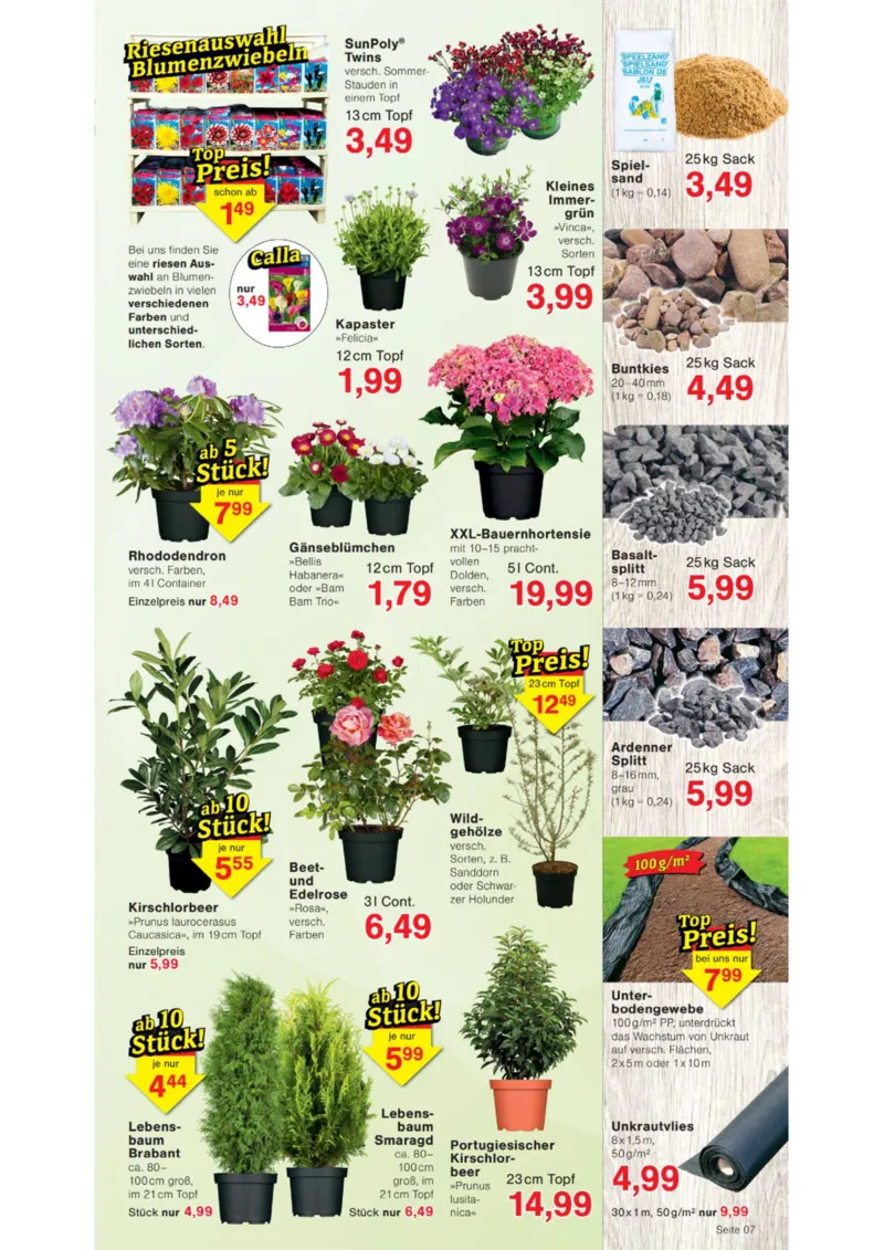 Wiglo Wunderland Prospekt vom 23.03.2026, Seite 11