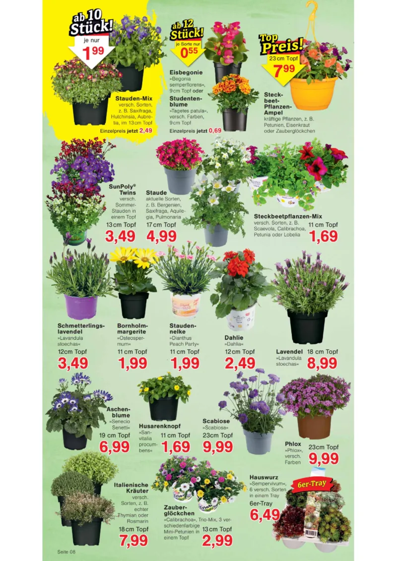 Wiglo Wunderland Prospekt vom 07.04.2026, Seite 12