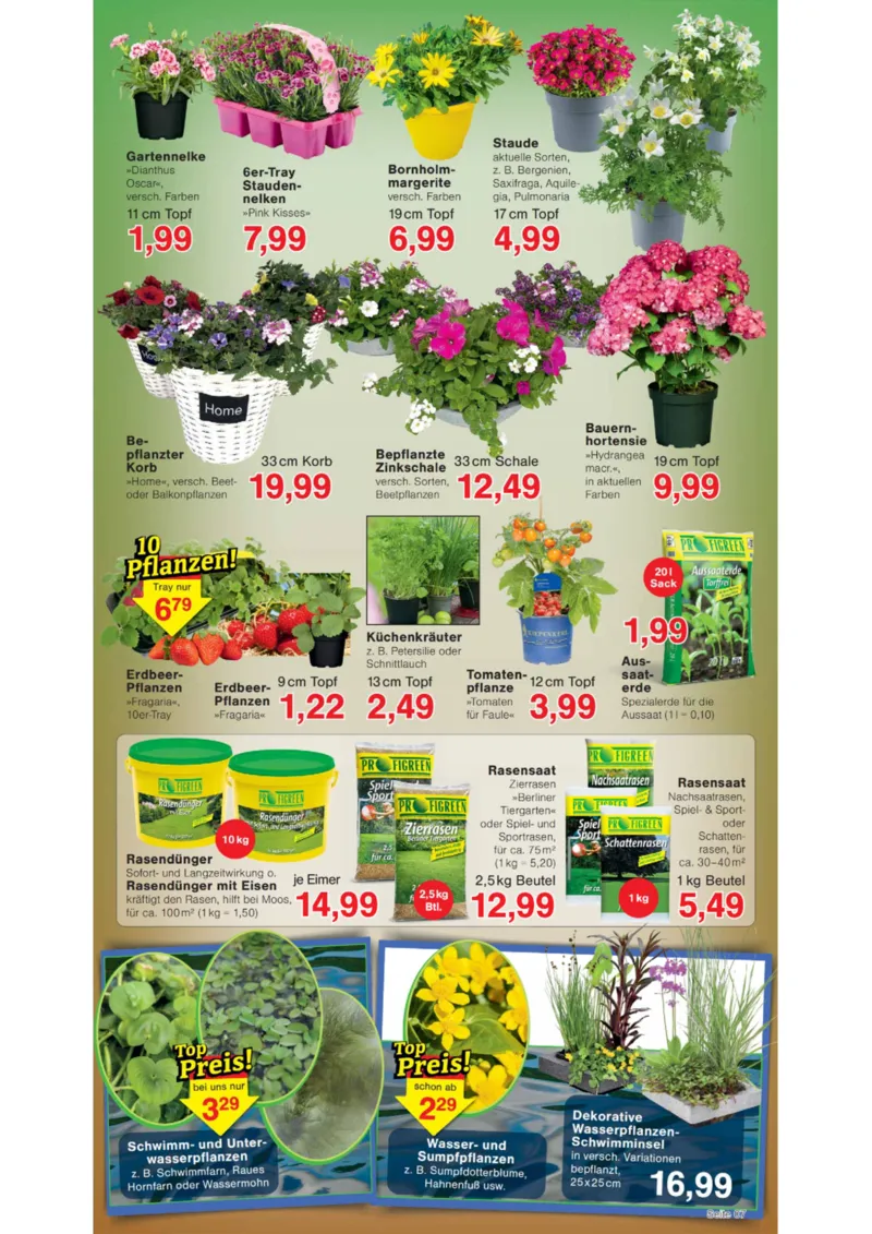 Wiglo Wunderland Prospekt vom 20.04.2026, Seite 11