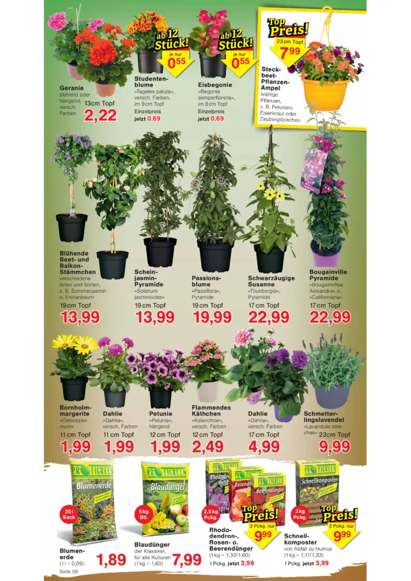 Wiglo Wunderland Prospekt vom 20.04.2026, Seite 6