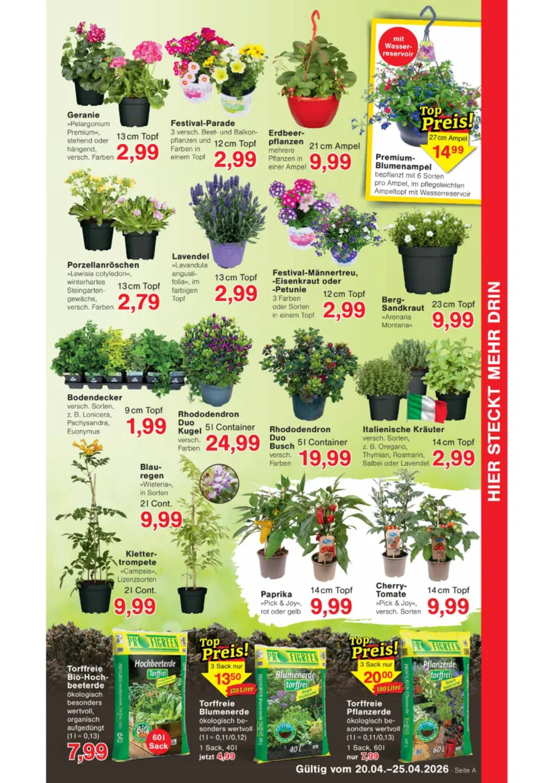 Wiglo Wunderland Prospekt vom 20.04.2026, Seite 7