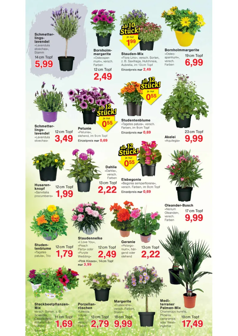 Wiglo Wunderland Prospekt vom 27.04.2026, Seite 6