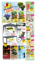 Wiglo Wunderland Prospekt nächster Woche