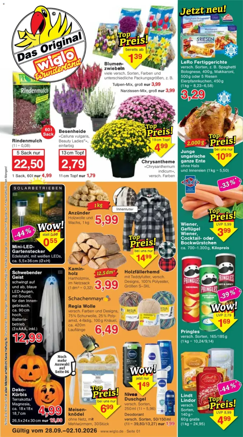 Wiglo Wunderland Prospekt vom 28.09.2026, Seite 1