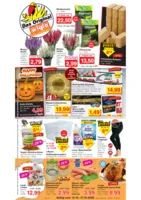 Wiglo Wunderland Prospekt vom 12.10.2026