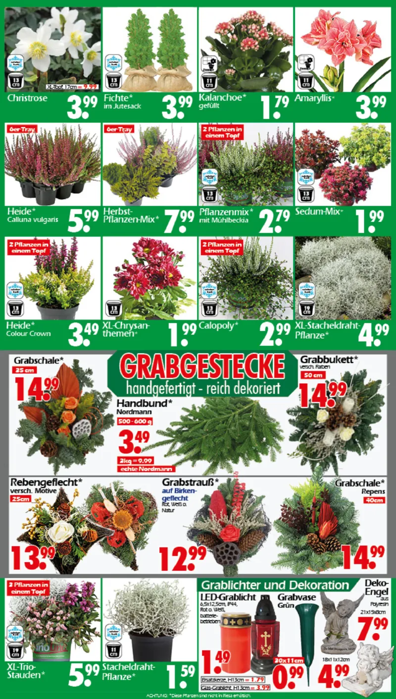 Wreesmann Prospekt vom 27.10.2025, Seite 3 Wreesmann Prospekt vom 27.10.2025, Seite 3