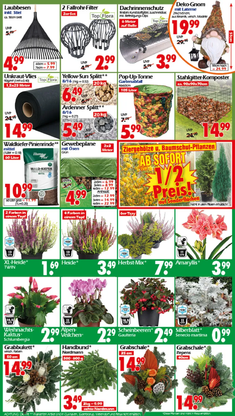 Wreesmann Prospekt vom 03.11.2025, Seite 8