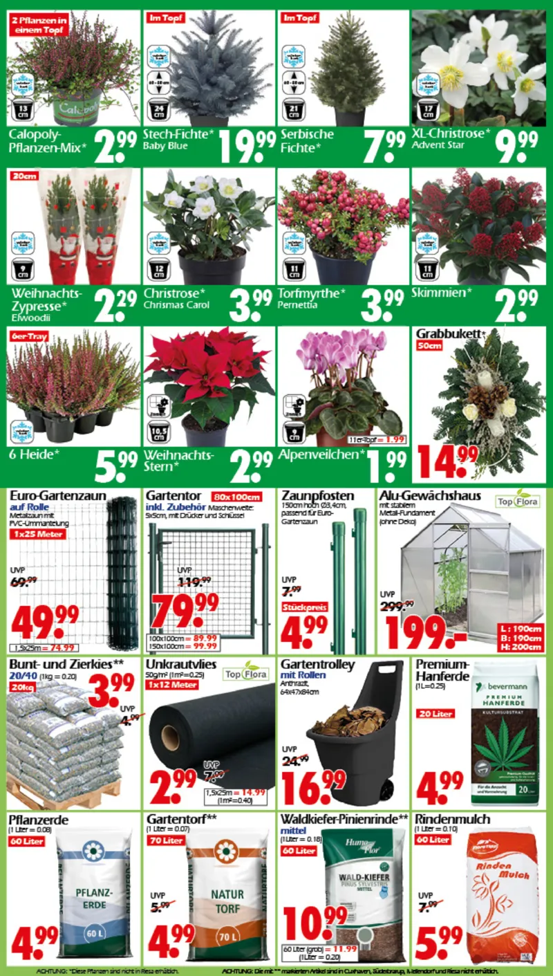 Wreesmann Prospekt vom 10.11.2025, Seite 8