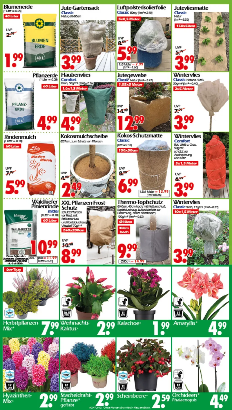 Wreesmann Prospekt vom 17.11.2025, Seite 13