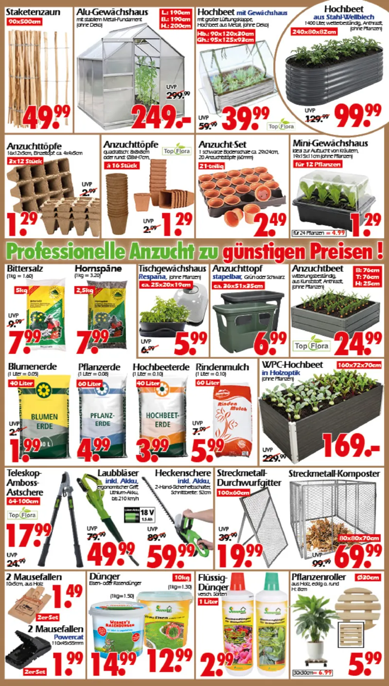 Wreesmann Prospekt vom 19.01.2026, Seite 2