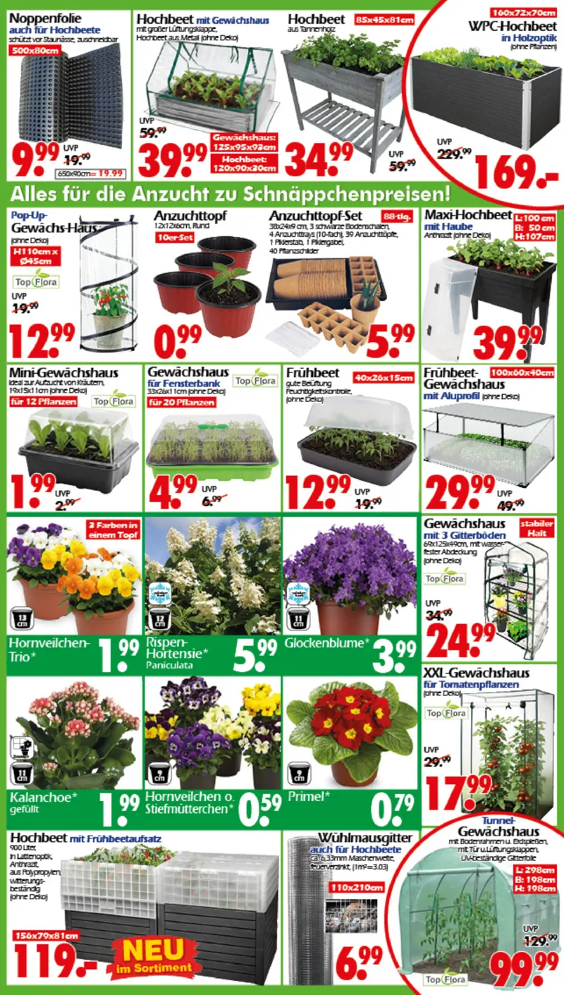 Wreesmann Prospekt vom 02.02.2026, Seite 3