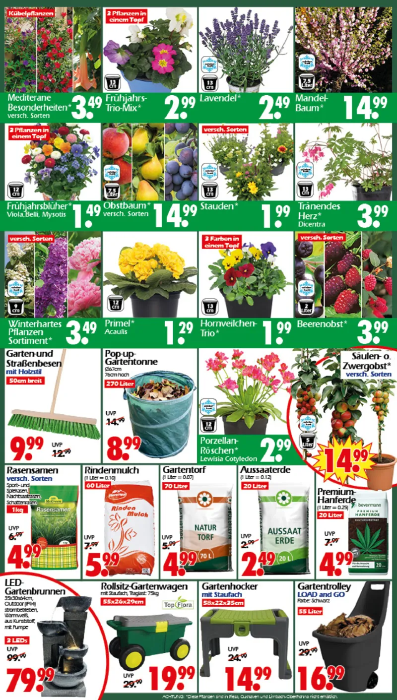 Wreesmann Prospekt vom 09.03.2026, Seite 3