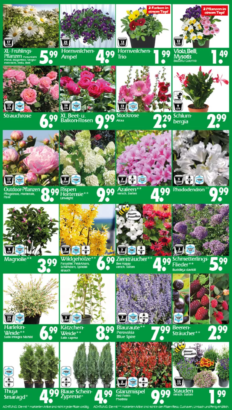 Wreesmann Prospekt vom 16.03.2026, Seite 3