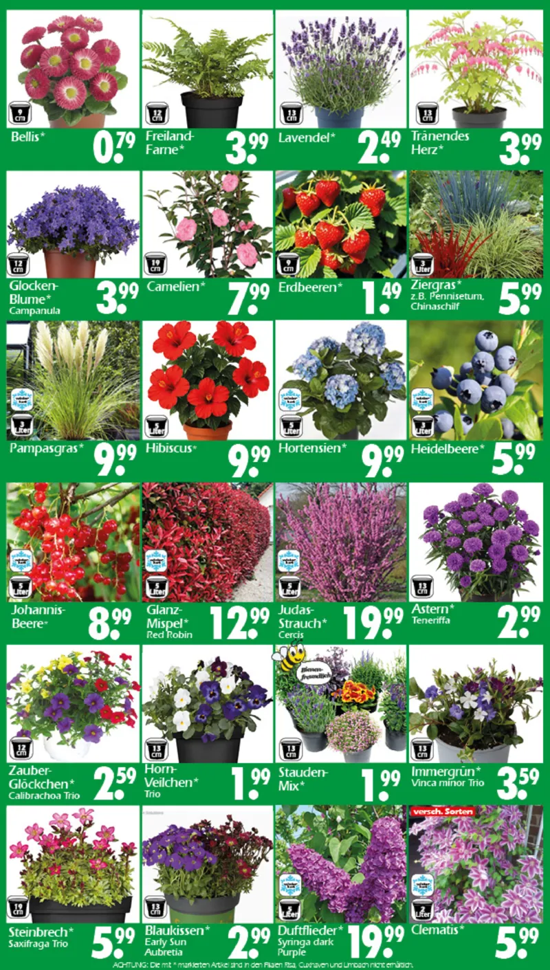 Wreesmann Prospekt vom 30.03.2026, Seite 3