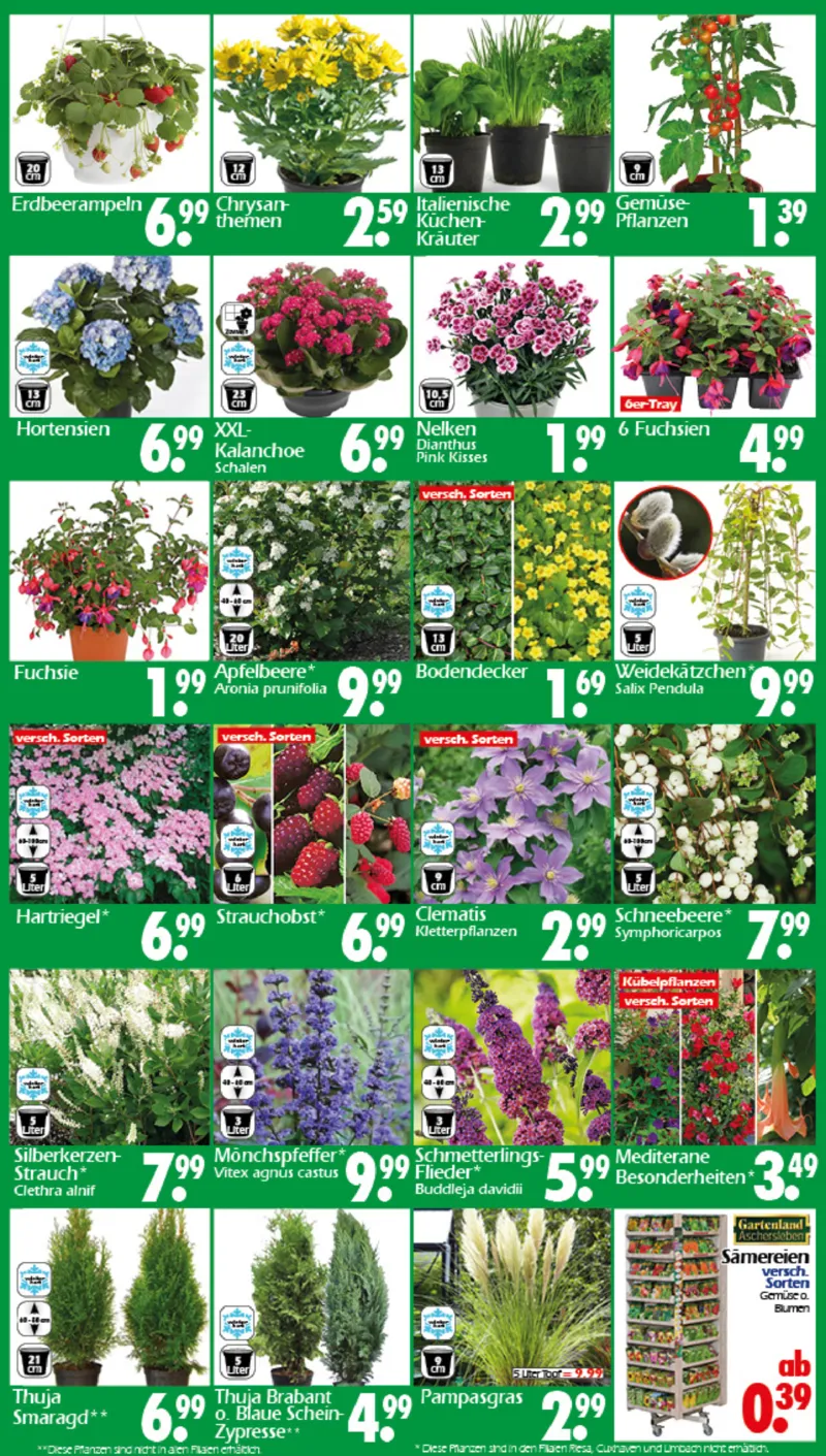 Wreesmann Prospekt vom 07.04.2026, Seite 3