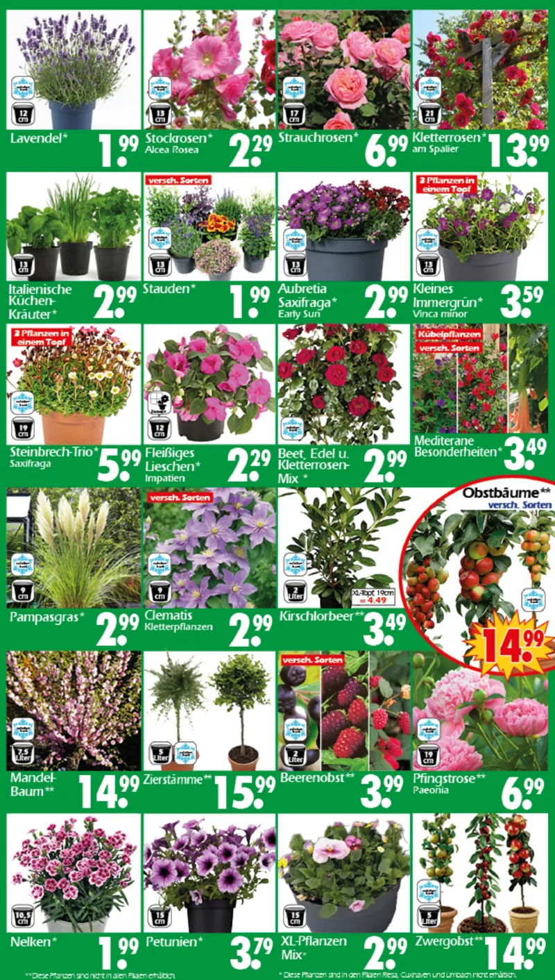 Wreesmann Prospekt vom 13.04.2026, Seite 3