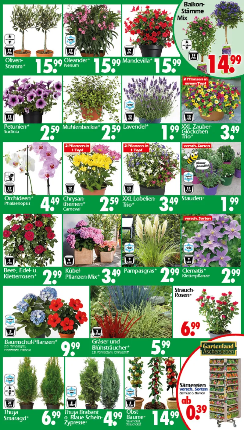 Wreesmann Prospekt vom 20.04.2026, Seite 3