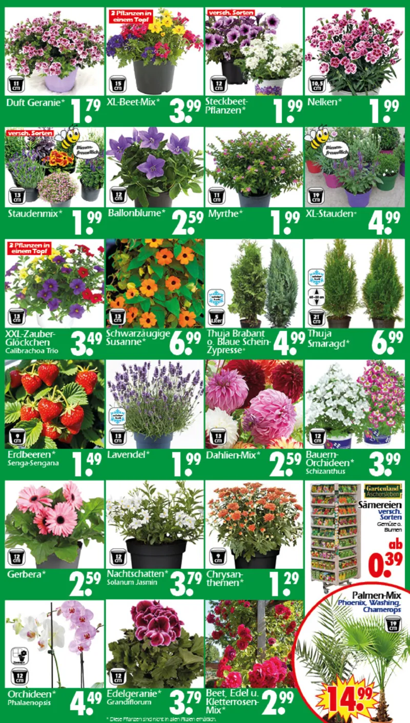 Wreesmann Prospekt vom 27.04.2026, Seite 3