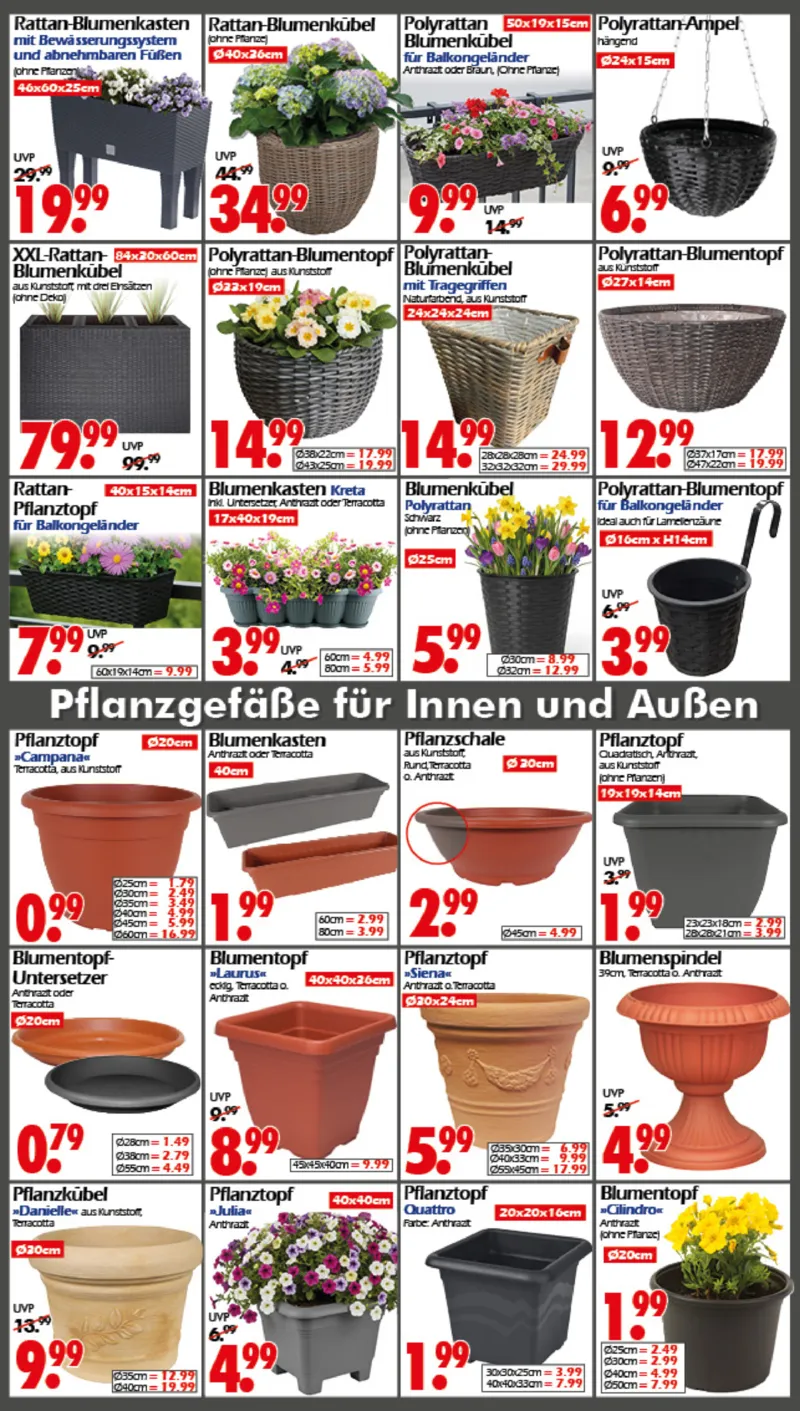 Wreesmann Prospekt vom 11.05.2026, Seite 11