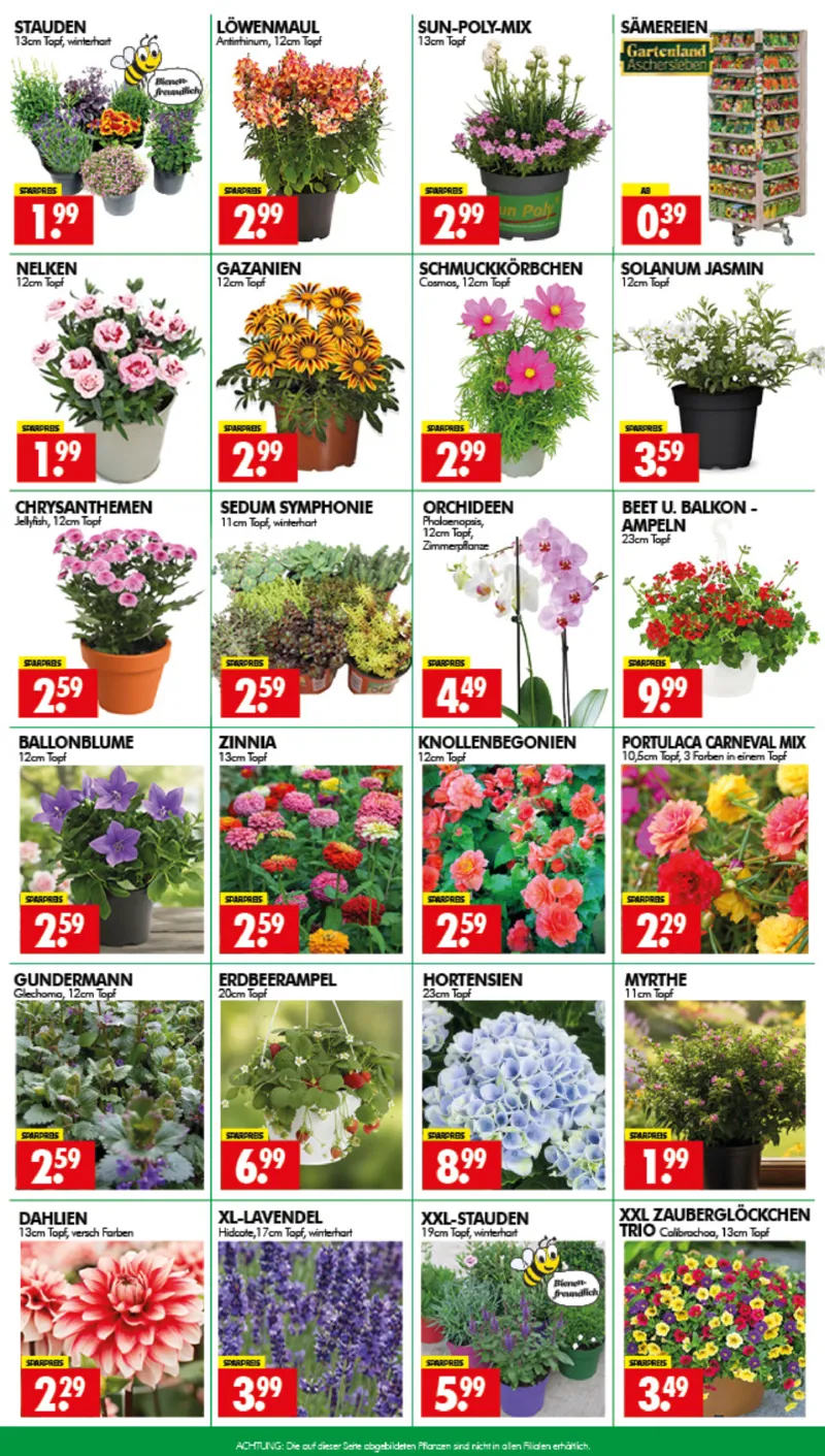 Wreesmann Prospekt vom 26.05.2026, Seite 3
