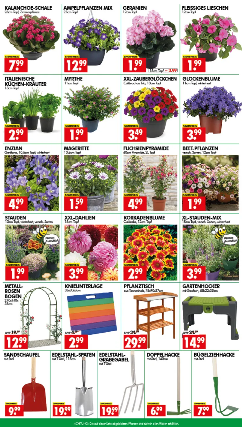 Wreesmann Prospekt vom 01.06.2026, Seite 3