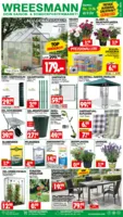 Wreesmann Prospekt vom 01.06.2026